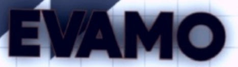 October 4EVAMO Buisnews